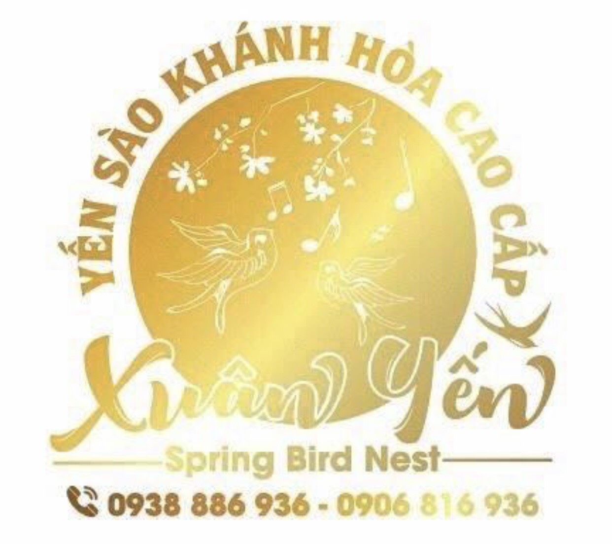 Logo Yến Sào Xuân Yến